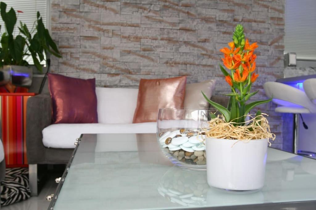 Nice Life - Luxury Apartment In The Old Town. Bratislava Eksteriør bilde
